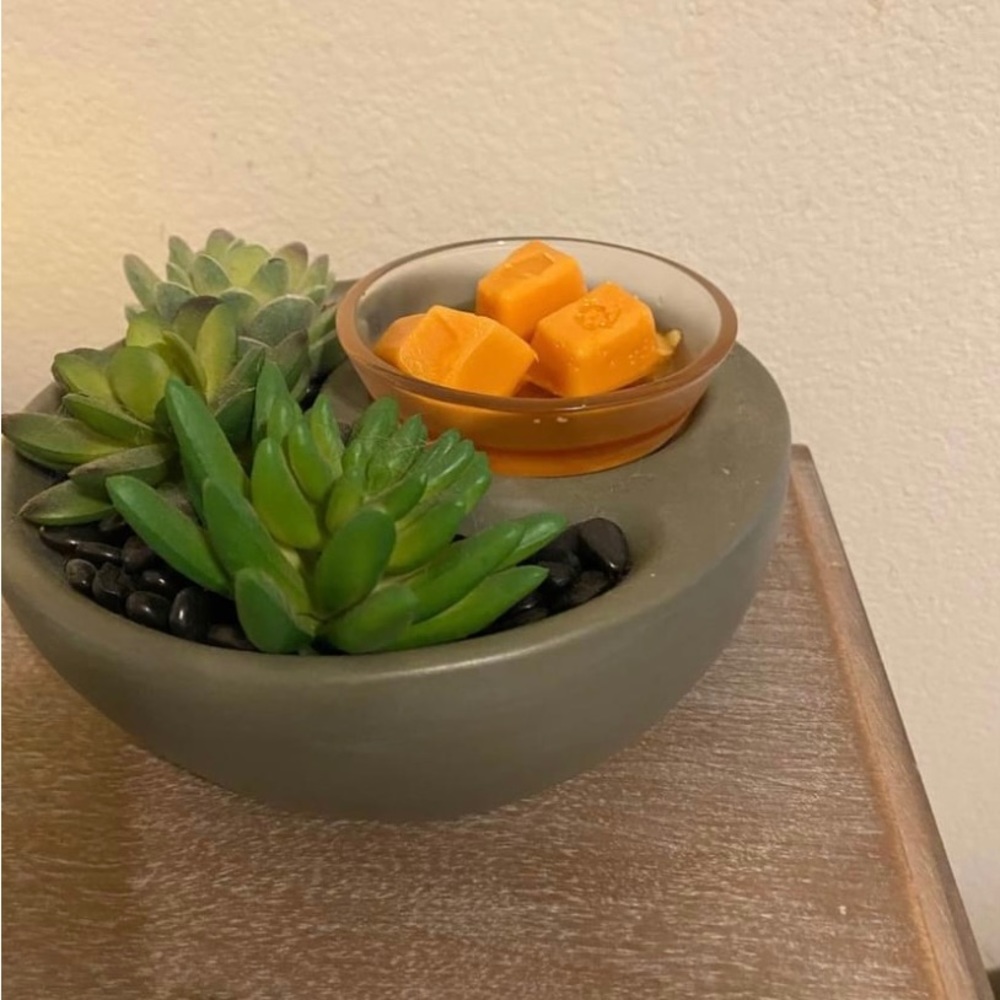 Scentsy Warmer